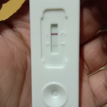 Check Up