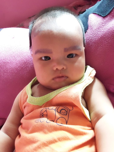 เด้กคิ้วม่วง