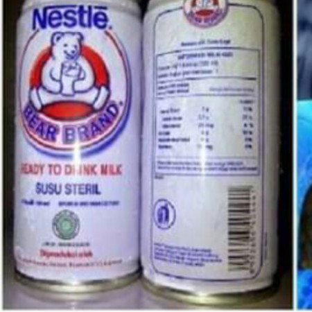 susu beruang