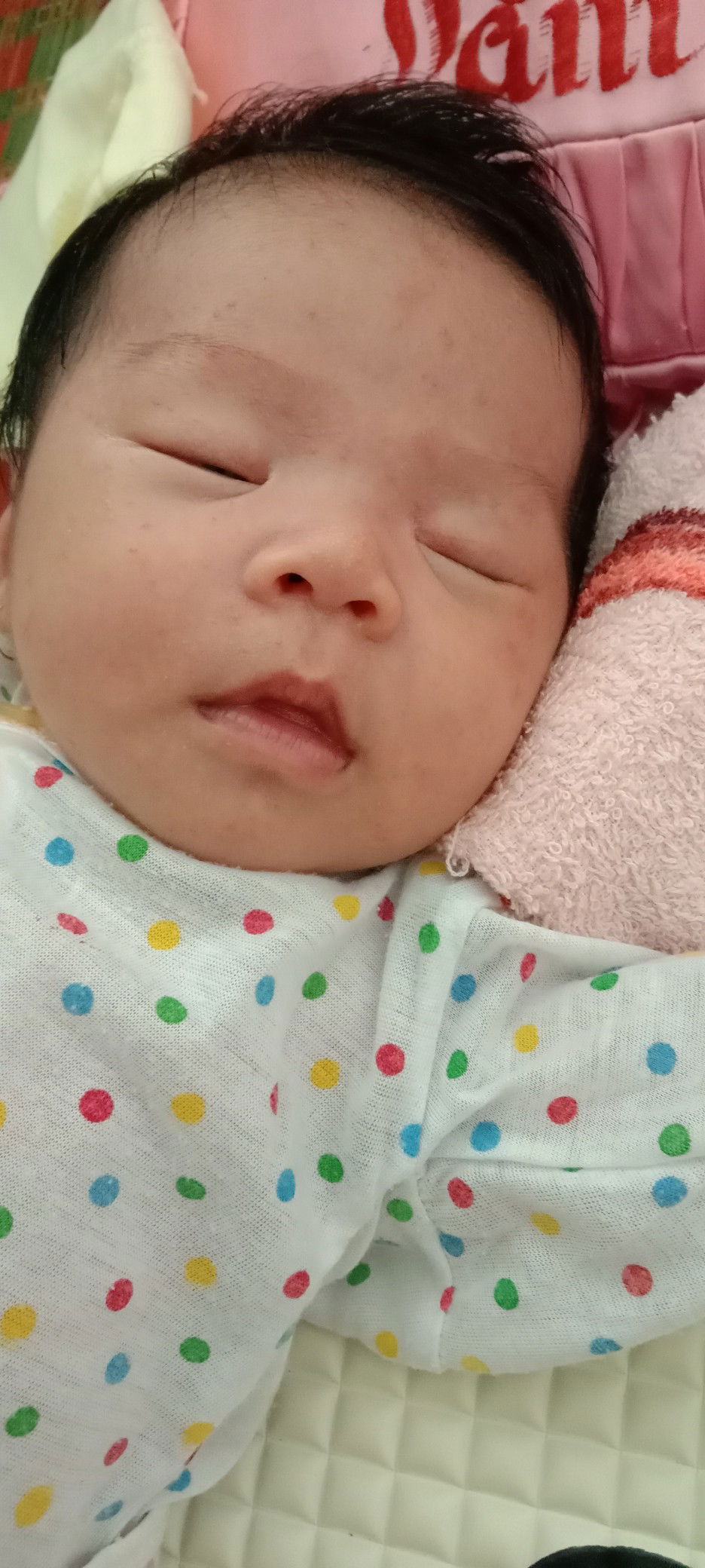 Phi Tran profile icon