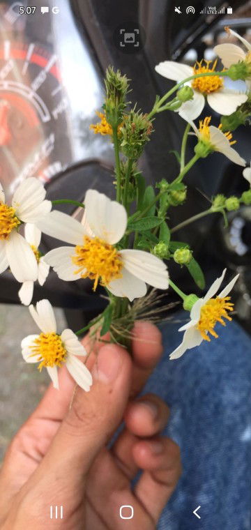 Eva Fitriani profile icon