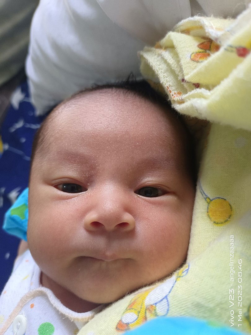 Lorenxiaa profile icon