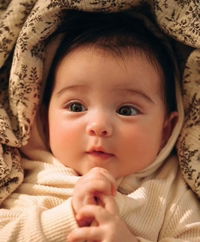 Norhidayah Abdullah profile icon