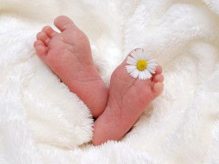 Trân Trân profile icon