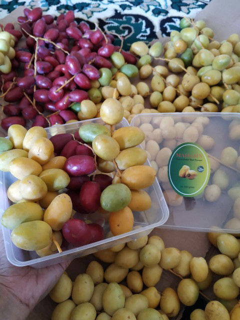 ikut nglapak yah,mohon jangan di buli.. ?