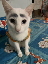 Onnapak Som. profile icon