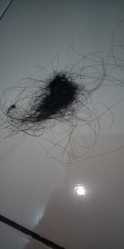 rambut rontok