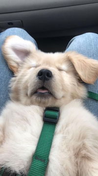 ค้าบ ครีม profile icon