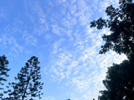 คุณแม่ profile icon