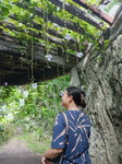 Siriyakorn Dangsawangwong profile icon