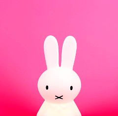 elin ayumi profile icon