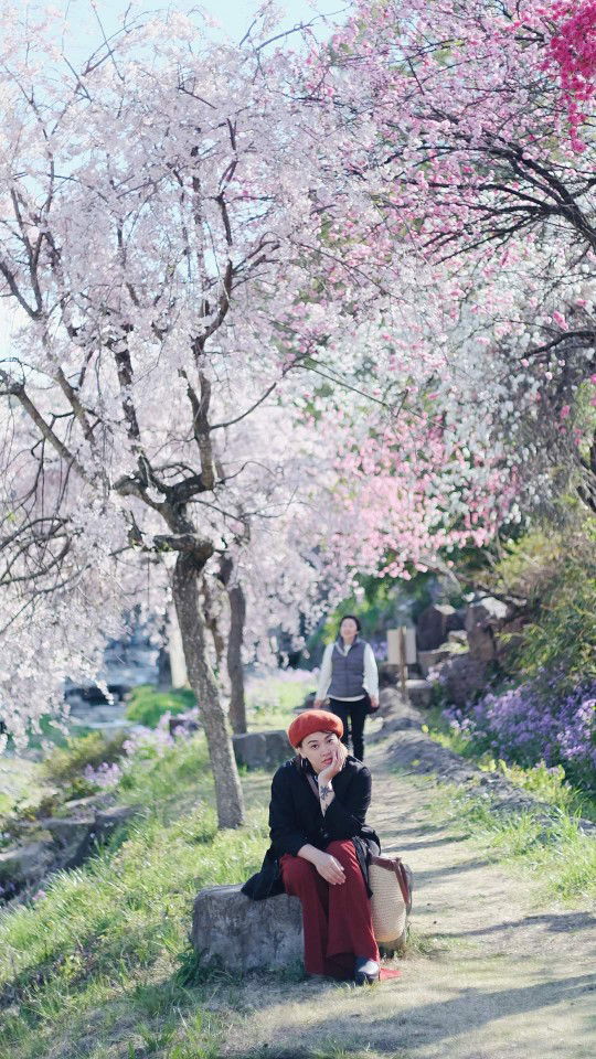 Patsita profile icon