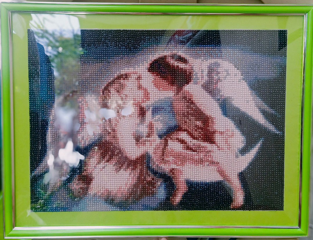 jho castañeda profile icon