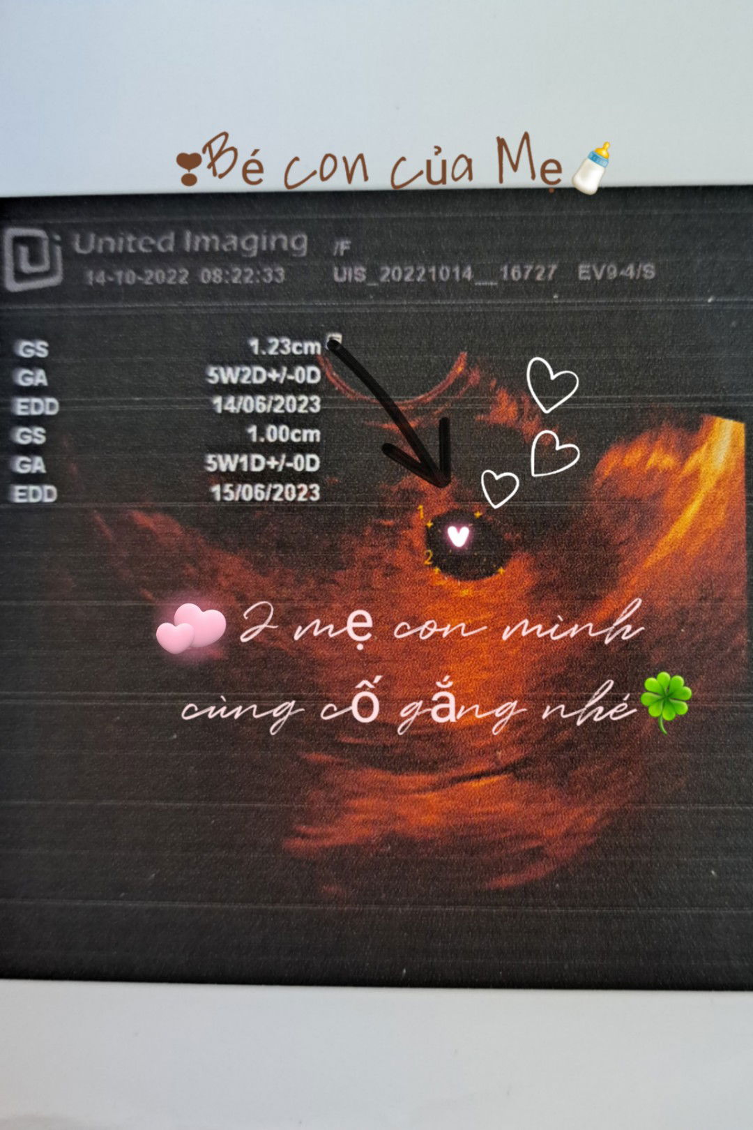 Tiểu Mọt Sách profile icon