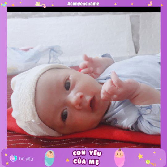 Vũ Bảo Lộc profile icon