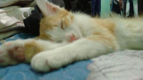 Azira Aziz profile icon