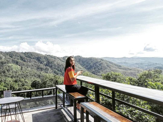 Mine Honeii profile icon