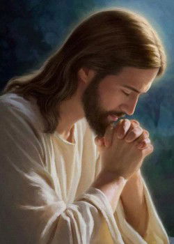 vanessaangelica 01 profile icon