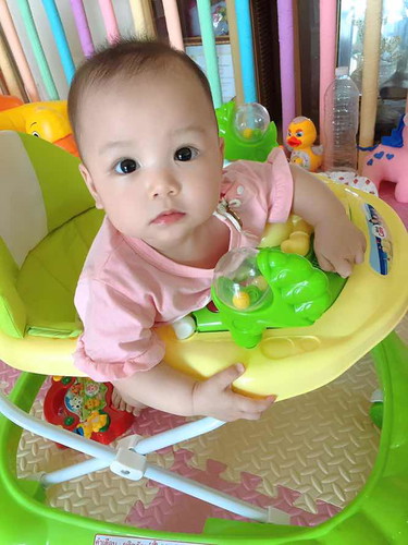 หมูผิงผิง และล้อวงสีเขียวของเขา