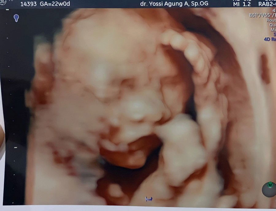 Mima Shan ♡ profile icon