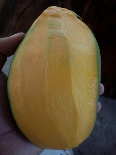 buah seger