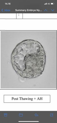 Annisa Aulia profile icon