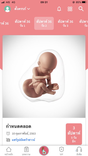 36 week 2day
