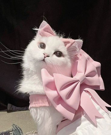 Hananie profile icon