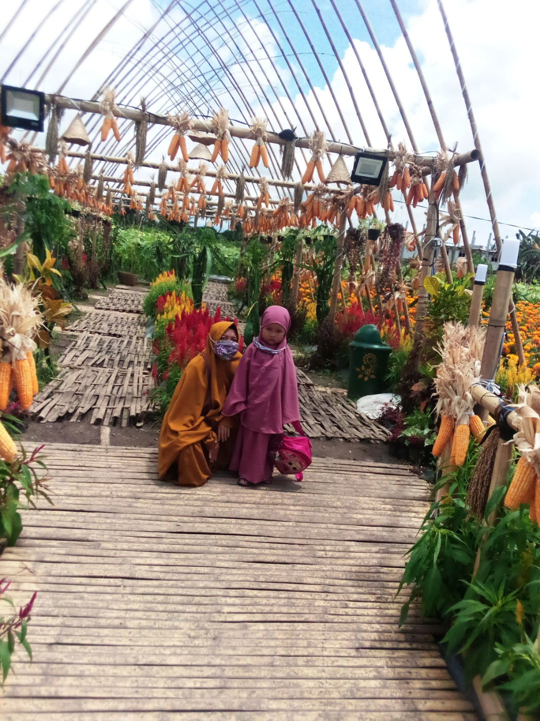 safinatin profile icon