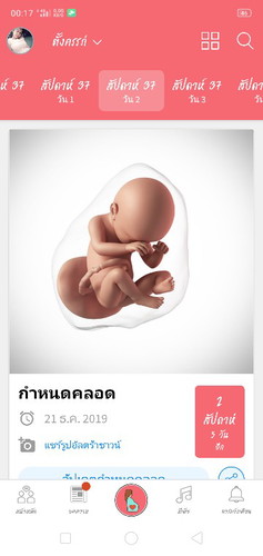 ทีมธันวา