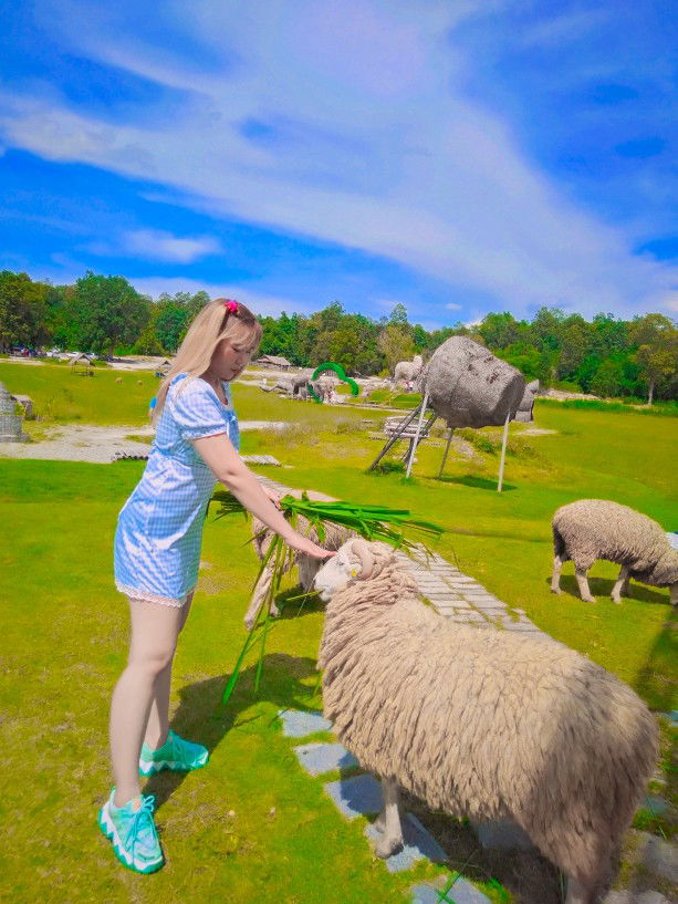 sineenat profile icon