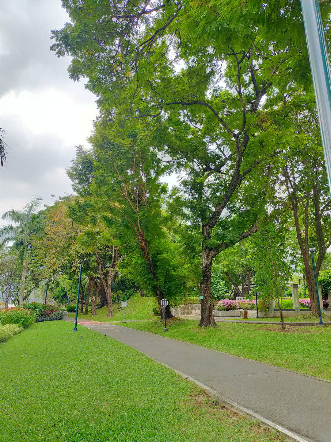 ฟ้าหนุน profile icon