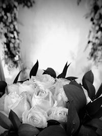 Muzdalifah Ulinni’mah profile icon