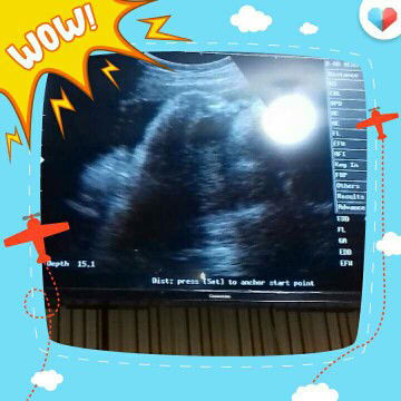 Hidayah profile icon