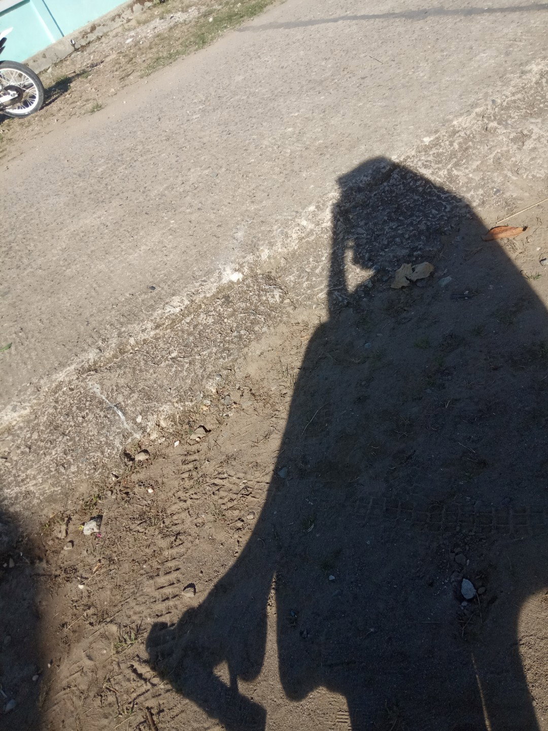 Aulia profile icon