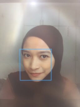 Diela Razali profile icon