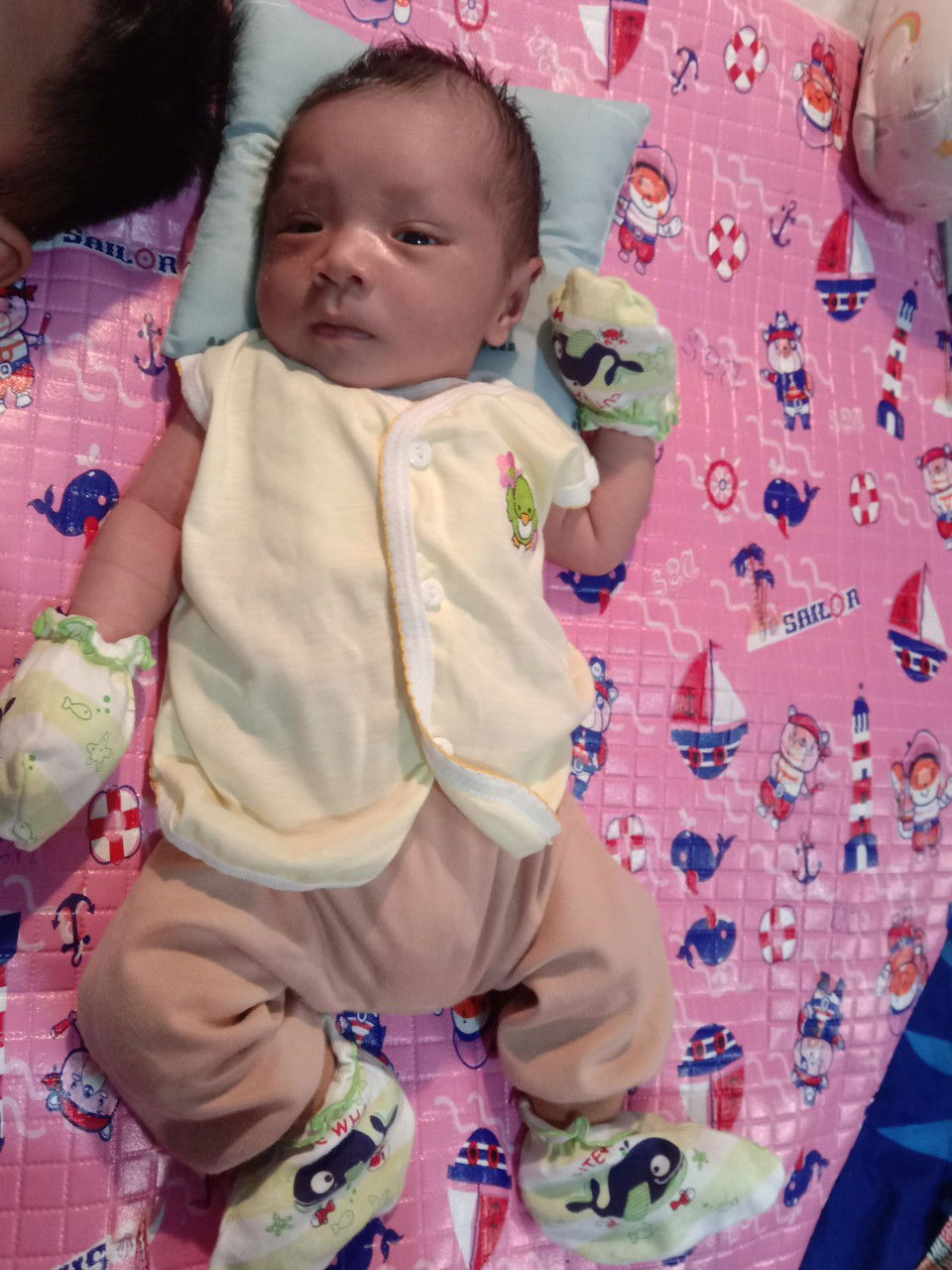 Vina Pramudita profile icon