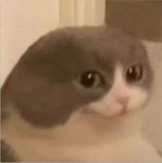 กิ่ง profile icon