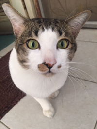 Kannika profile icon