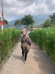 Wuri Werdiningsih profile icon
