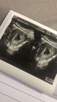 chitra cendrafasya profile icon