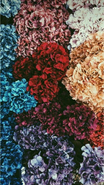 nicanix profile icon