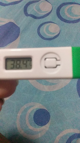 fever and 28 weeks pregnant