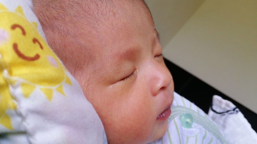 siti nur jannah binti mohd safi profile icon