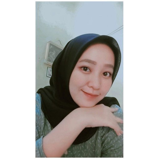 Diana Rafisqy profile icon