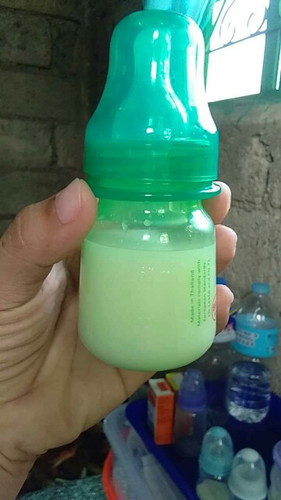 Milk