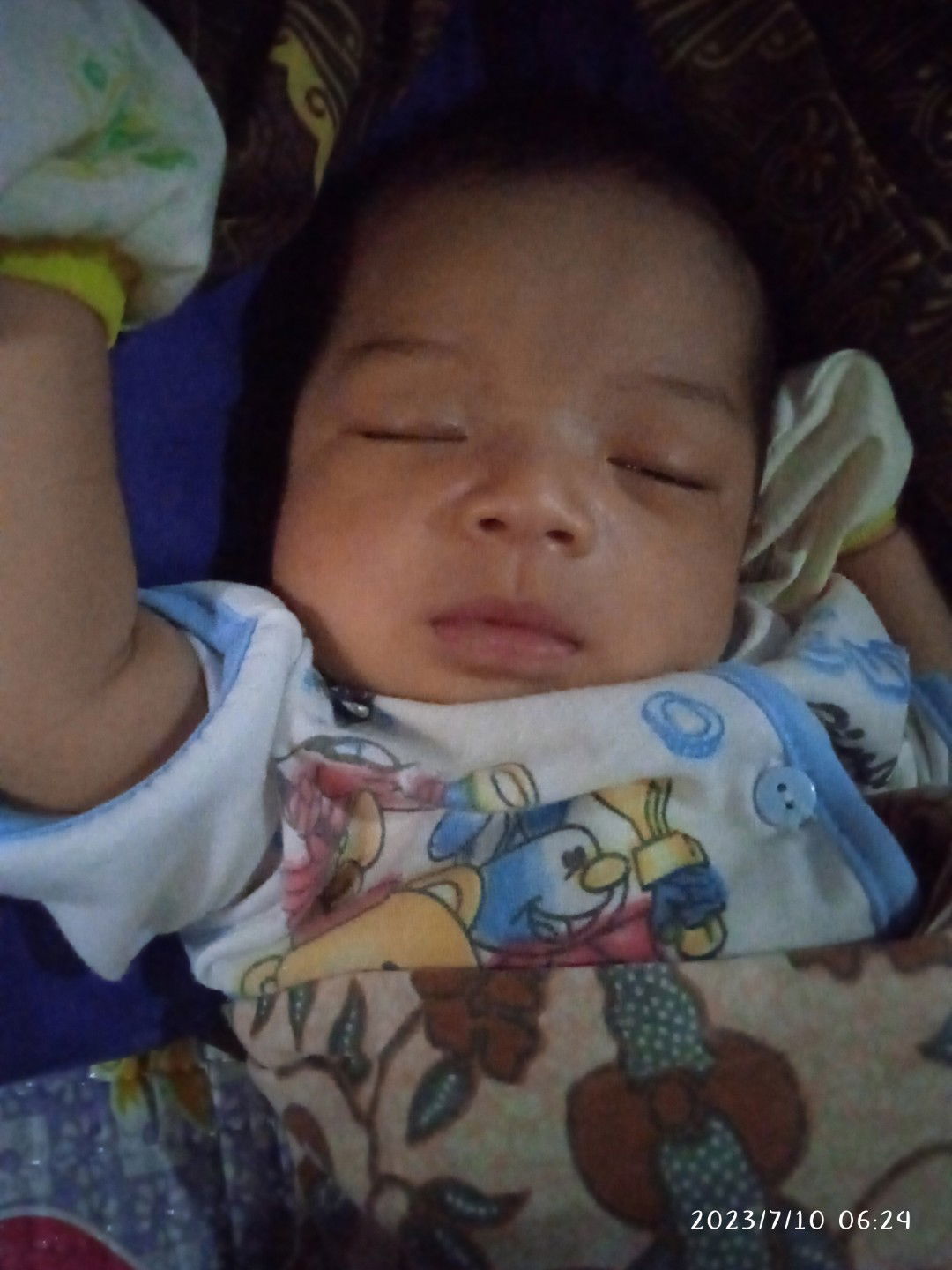 Mega Pratiwi profile icon