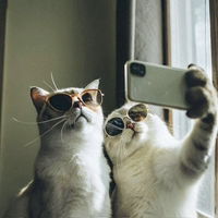 Roslaine profile icon