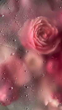 emberine profile icon