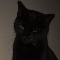 aen profile icon